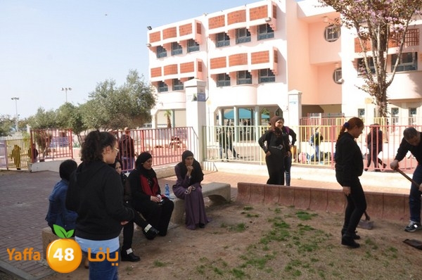 trees shamela 0321 (16).JPG